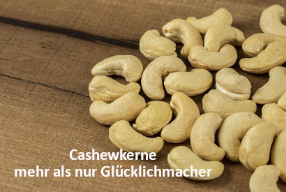 Beitrag "Cashewkerne, mehr als nur Glücklichmacher" | menssensus® Institut Forschungsinstitut & menssensus Institut Therapiezentrum