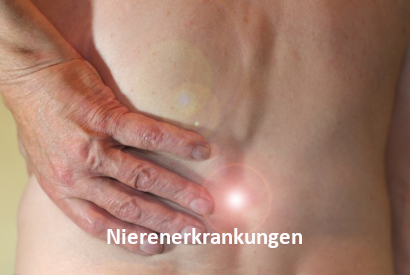 Beitrag "Nierenerkrankungen" | menssensus® Institut Forschungsinstitut & menssensus Institut Therapiezentrum