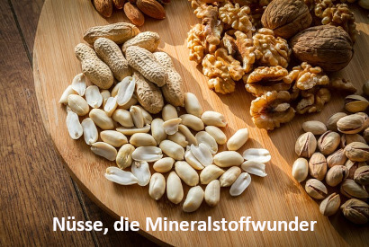 Beitrag "Nüsse, die Mineralstoffwunder" | menssensus® Institut Forschungsinstitut & menssensus Institut Therapiezentrum