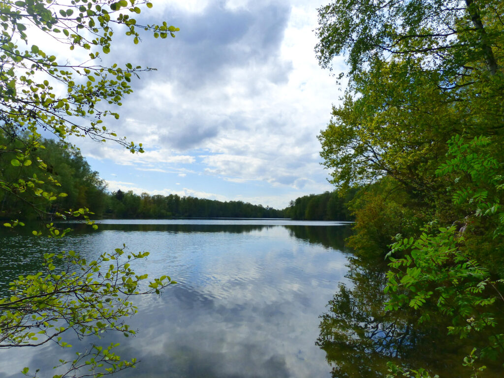 Psychotherapie Outdoor Sitzungen